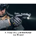 pl5.webp