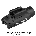 pl2.webp