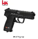 p8 2.webp