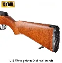 m14 4.webp