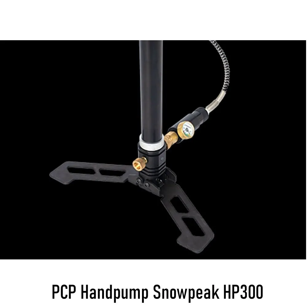 snow 1.webp
