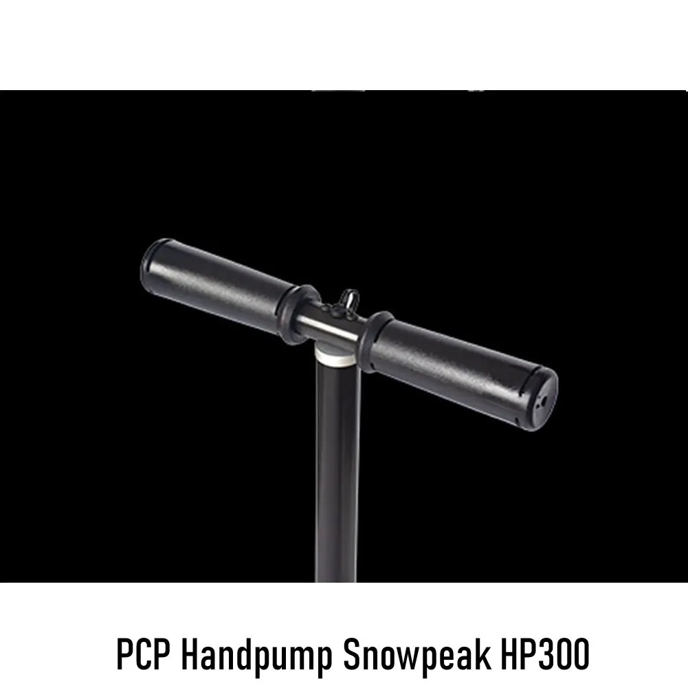 snow 3.webp