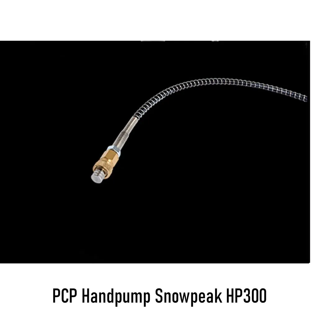 snow 2.webp