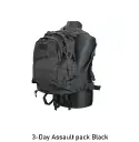3-Day Assault pack